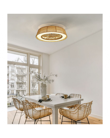 Ceiling fan 35W Ø63cm LED ceiling light 70W rattan remote control DIMMABLE light and remote control