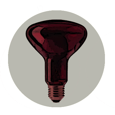 Bombillas profesionales